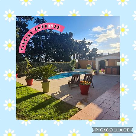 Villa Flamenca - Piscine Chauffee Châteaurenard Eksteriør billede